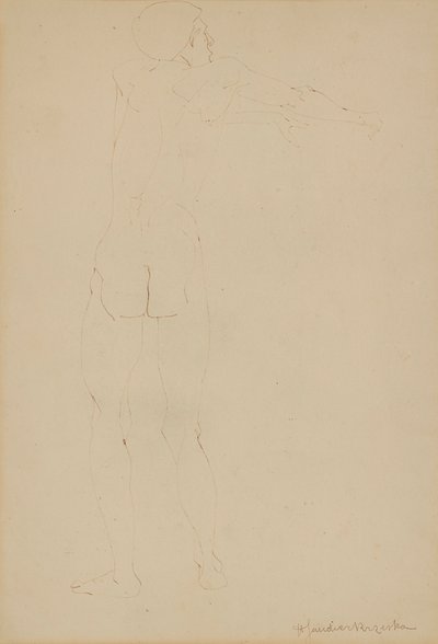 Mužský akt (pero na papíře) od Henri Gaudier Brzeska