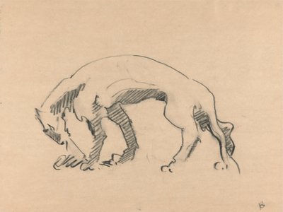 Lvice v profilu od Henri Gaudier Brzeska