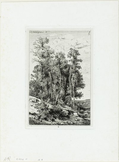 Břízy a duby od Henri-Joseph Harpignies