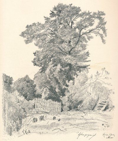 Studium stromů, c1839-1898, 1898 od Henri-Joseph Harpignies