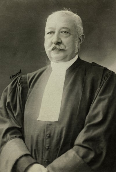 Portrét Alberta Salleho (foto) od Henri Manuel