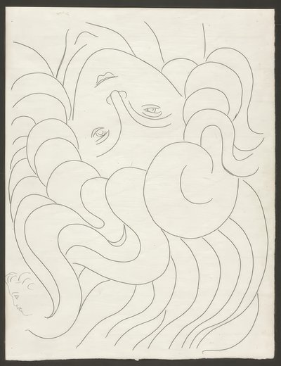 Několik sonetů: "z Poesies de Mallarmé, deska 25 od Henri Matisse
