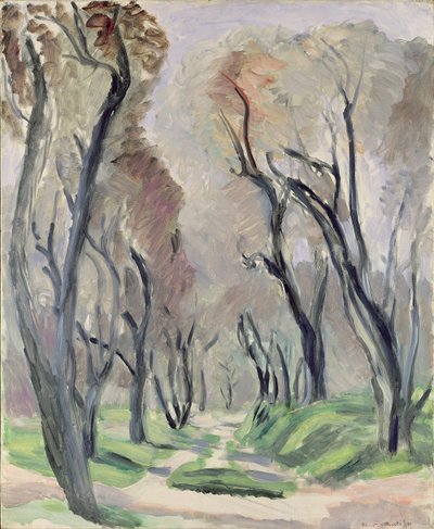Alej olivovníků od Henri Matisse