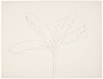 Banánovník (Tahiti) od Henri Matisse