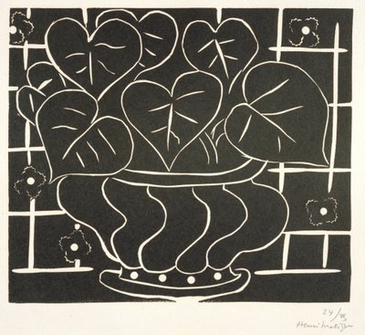 Mísa begónií I od Henri Matisse