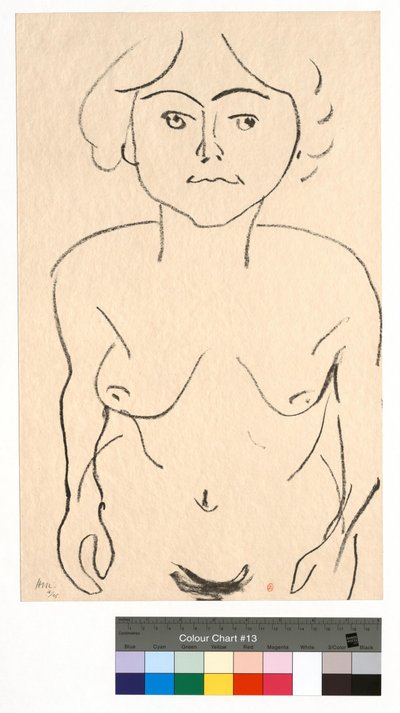 Akt zepředu, pohled shora od Henri Matisse