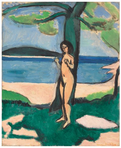 Nahý u moře od Henri Matisse