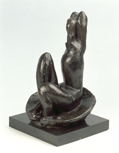 Venuše v ulitě I od Henri Matisse