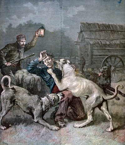 Zločinec napadený třemi velkými psy, 1891 od Henri Meyer