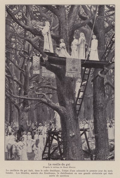 Druidové řezání jmelí šestého dne Měsíce (litho) od Henri Paul (after) Motte