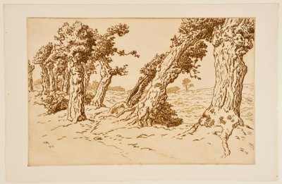 Knotige Baumstämme od Henri Rivière