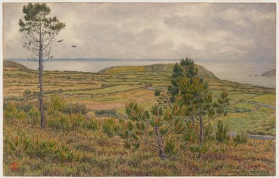 Zátoka Douarnenez. Morgat od Henri Rivière