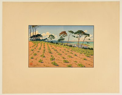[Douarnenez z pohledu ze silnice „Route du Ris“] od Henri Rivière
