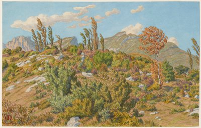 Barberazské plošiny od Henri Rivière