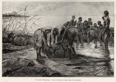 Hroší řeznictví na břehu středoafrické řeky. Rytina Henriho Thiriata k ilustraci příběhu „La mission Crampel““, od Alberta Nebouta (1862-1939), v roce 1890, v Le tour du Monde 1892, režie Edouard Charton (1807-1891), Hachette, Pa od Henri Thiriat