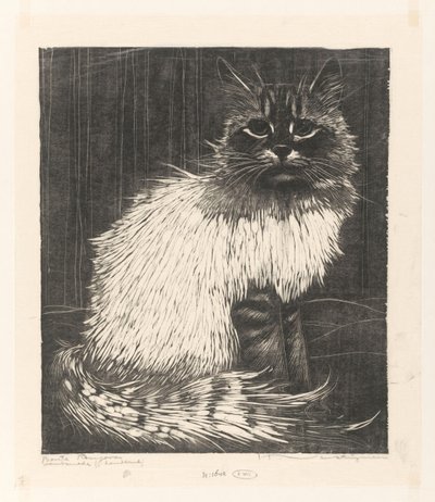 Bonte Angora (původní název na objektu) od Henri Verstijnen (signed by artist)
