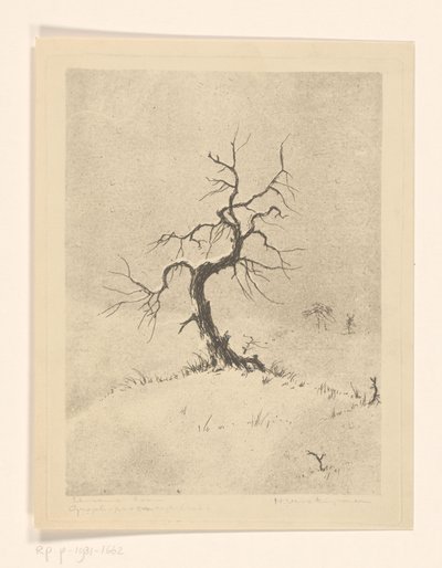 Lonely Tree (původní název na objektu) od Henri Verstijnen (signed by artist)