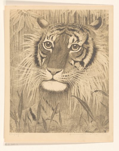 Hlava tygra od Henri Verstijnen (signed by artist)