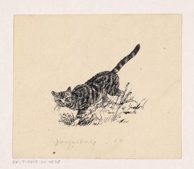 Kat od Henri Verstijnen