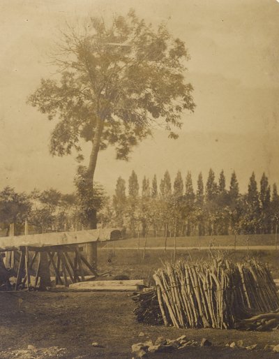 [Krajina s balíky nařezaných kmenů stromů] od Henri Victor Regnault