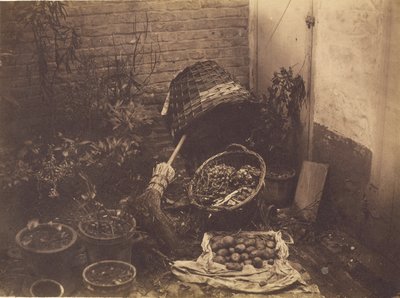 [Zátiší s koši na slámu, koštětem, otevřeným pytlem brambor a rostlinami v květináčích] od Henri Victor Regnault