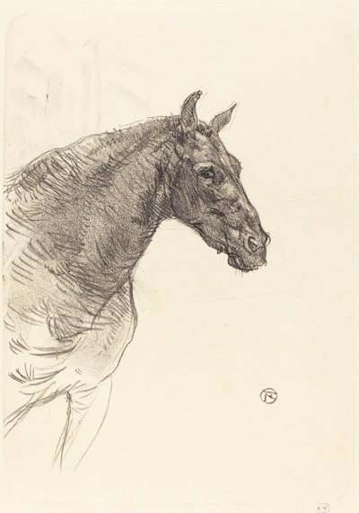 Starý kůň od Henri de Toulouse Lautrec