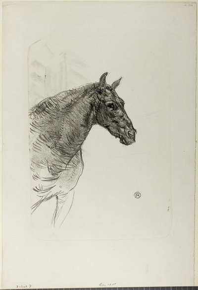 Philibert das Pony von Henri de Toulouse-Lautrec