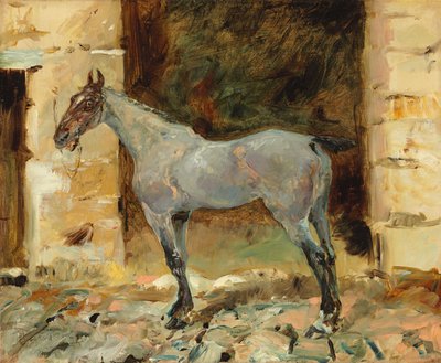 Upoutaný kůň; Cheval atašé, kolem roku 1881 od Henri de Toulouse Lautrec