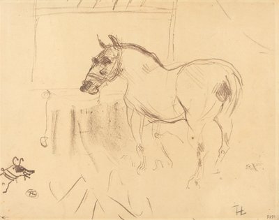 Malý poník z Calmese Malý poník z Calmese, 1899. od Henri de Toulouse Lautrec