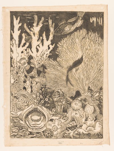 Na korálovém dně (původní název na objektu) od Henri van der Stok (signed by artist)