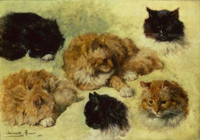 Studie koček od Henriëtte Ronner Knip