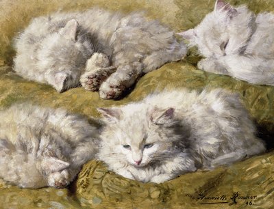Studie dlouhosrsté bílé kočky, 1896 od Henriëtte Ronner Knip