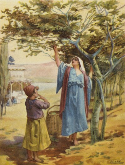 Závěsný od Henry Andrew Harper