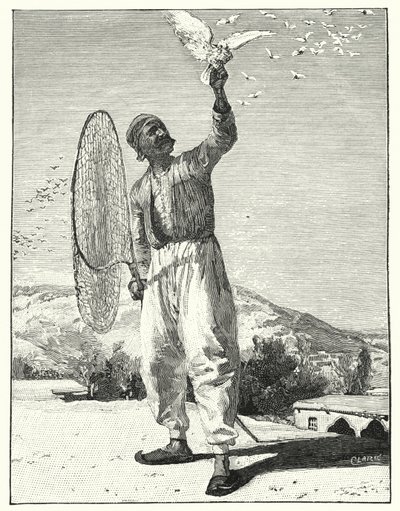 Závěsný od Henry Andrew Harper