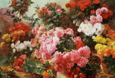 Pestrobarevné chryzantémy. Obraz Henri-Arthur (Henri Arthur) Bonnefoy (1839-1917) Soukromá sbírka. od Henry Arthur Bonnefoy