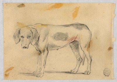 Studie dvou chrtů od Henry Bernard Chalon