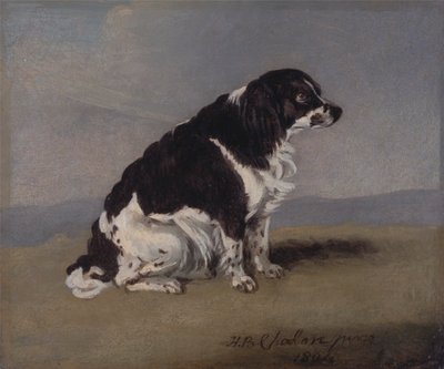 Španěl vévodkyně z Yorku od Henry Bernard Chalon