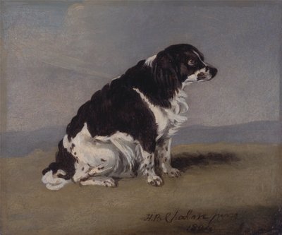 Vévodkyně z Yorku, španěl od Henry Bernard Chalon