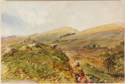 Cockmount Hill (barva karoserie) od Henry Burdon Richardson