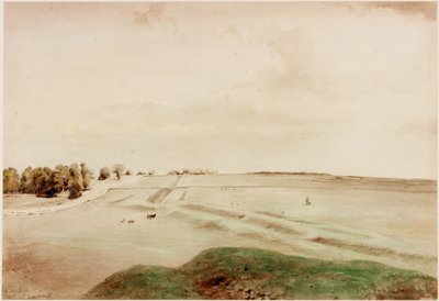 Down Hill, Northumberland (barva těla) od Henry Burdon Richardson