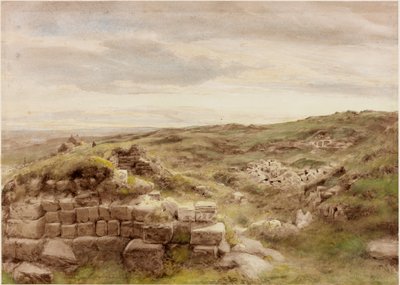 Hospodářství (barva karoserie) od Henry Burdon Richardson