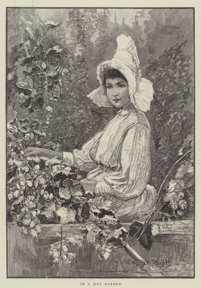 Ve chmelnici od Henry Charles Seppings Wright