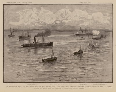 Portugalská korveta Tamega střílí na SS Agnes, řeka Pungwe, východní Afrika (rytina) od Henry Charles Seppings Wright