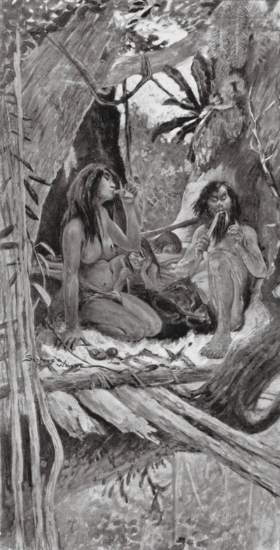 Pravěcí čínští obyvatelé stromů (litografie) od Henry Charles Seppings Wright