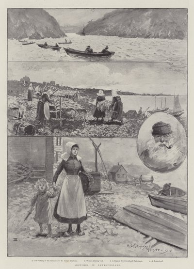 Skici v Newfoundlandu od Henry Charles Seppings Wright