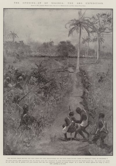 Otevření Nigérie, expedice Aro od Henry Charles Seppings Wright