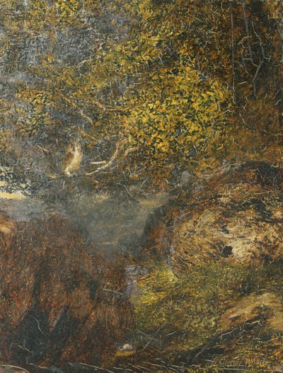Vize kajícníka: Sova od Henry Clarence Whaite
