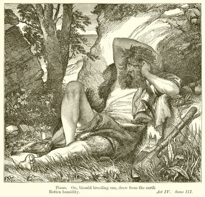 Timon z Athén od Henry Courtney Selous