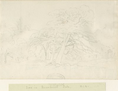 Beaudesert Park: kresba tužkou, nd [1788-1855] od Henry Curzon Allport