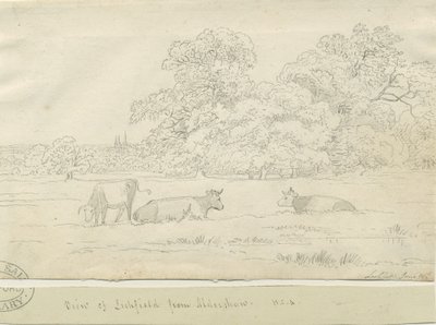 Lichfield - Pohled z Aldershaw od Henry Curzon Allport